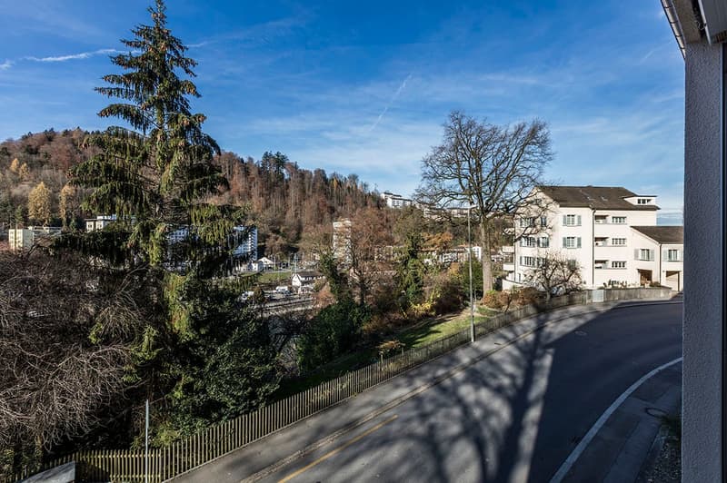 Charmant appartement 3.5 pièces dans le quartier St. Karli (8)