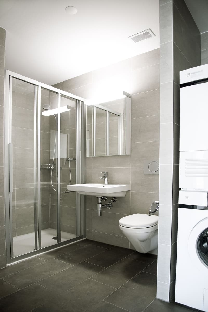 Modern Bright 3.5-Room Apartment with Balcony in Sursee (4)