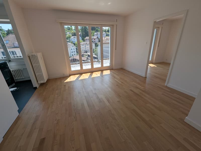 Helle Attikawohnung mit grossem Balkon (1)