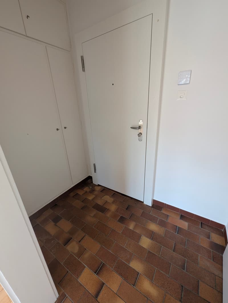 Helle Attikawohnung mit grossem Balkon (10)