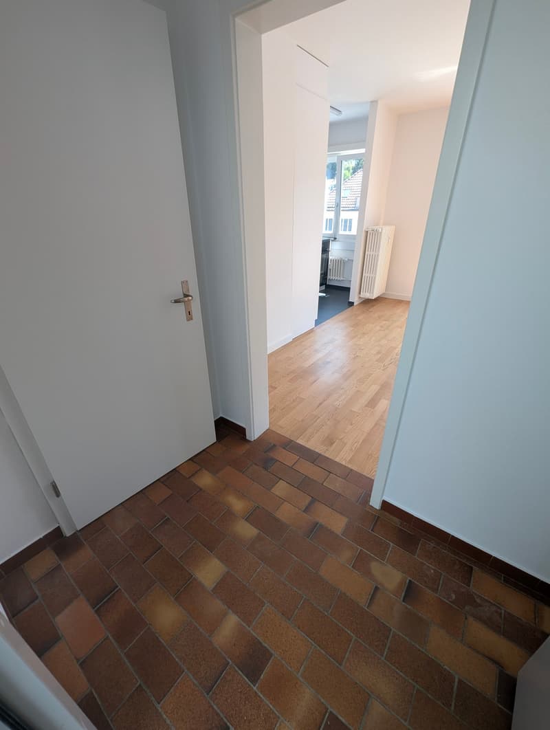 Helle Attikawohnung mit grossem Balkon (11)