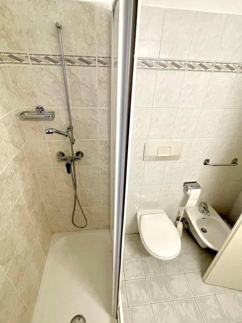 Shower area with a silver shower head, a white toilet bowl, and a white bidet.