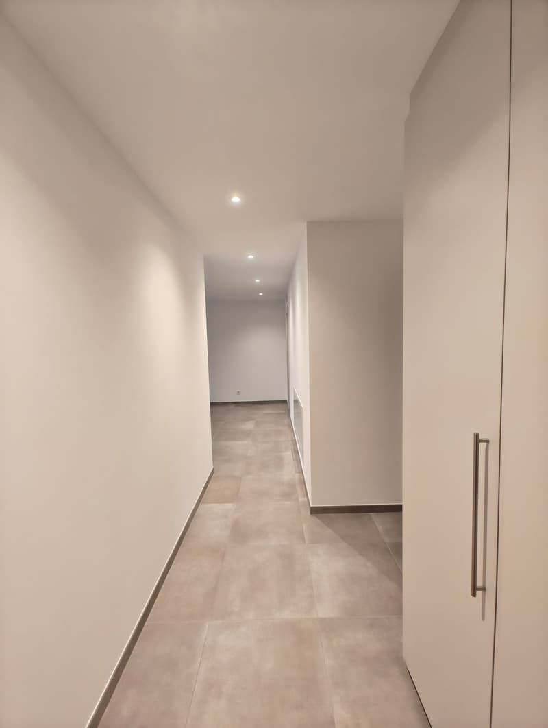 Elegantes 4.5-Zimmer-Apartment in Lamone (2)
