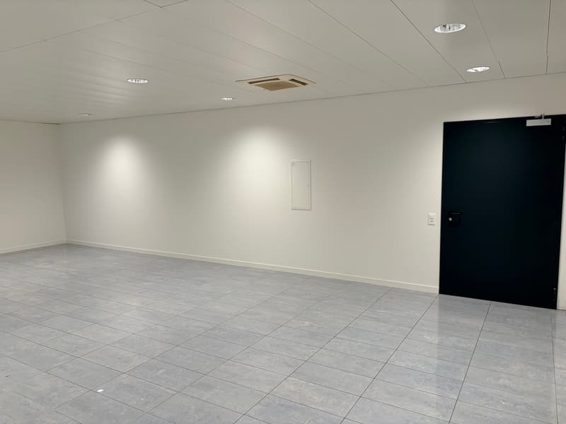 Gravesano - Grands bureaux modernes à louer avec places de parking (3)