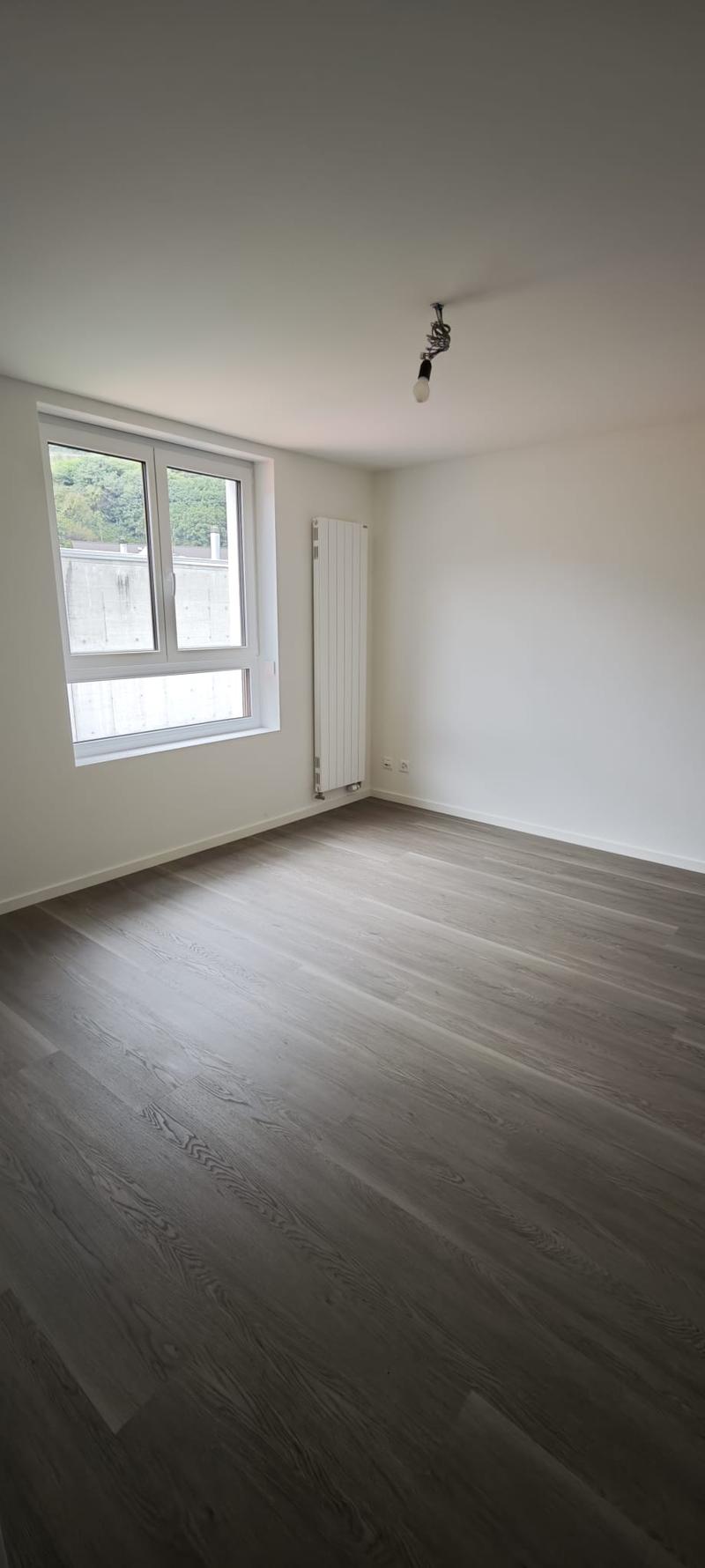 3.5 locali in casa bifamiliare interamente ristrutturata a Monte Carasso (4)