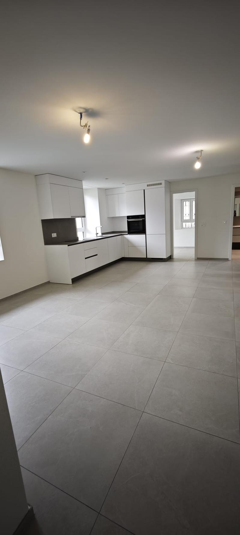 4 locali in casa bifamiliare interamente ristrutturata a Monte Carasso (10)