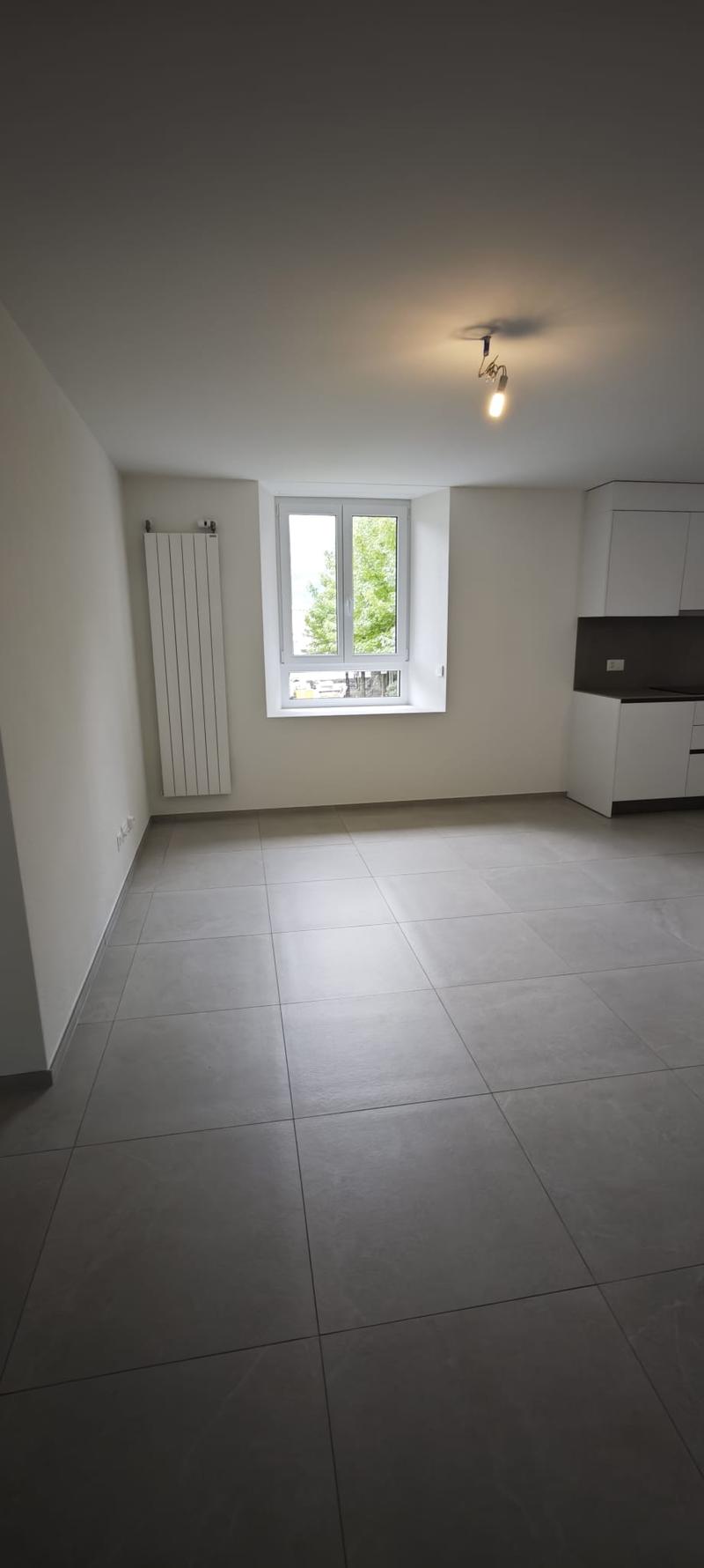 4 locali in casa bifamiliare interamente ristrutturata a Monte Carasso (8)