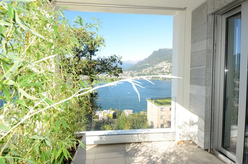 Appartamento 4.5 locali con spettacolare vista lago a Lugano Paradiso (2)