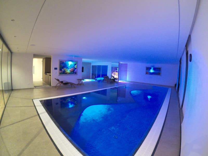 Belle villa à Montagnola (8)