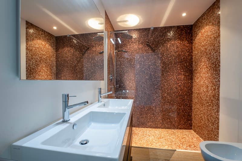 Elegant 4.5-Room Apartment with Terraces and Lake View (6)
