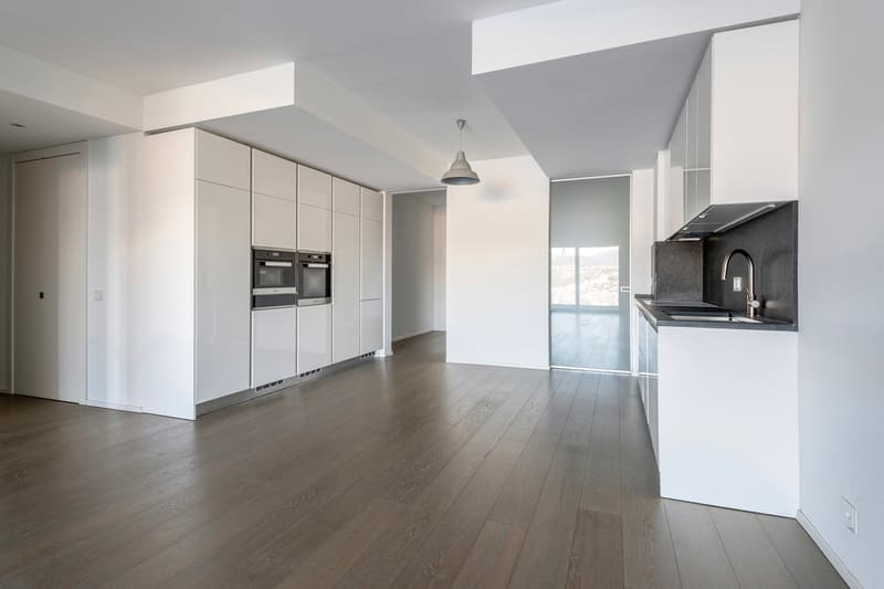 Elegant 4.5-Room Apartment with Terraces and Lake View (4)