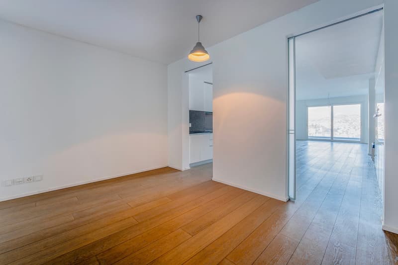 Elegant 4.5-Room Apartment with Terraces and Lake View (3)