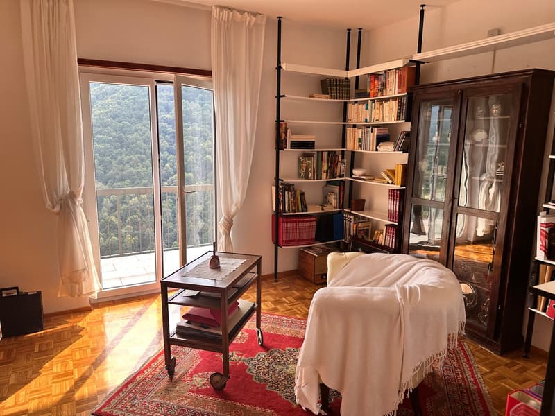 Hardwood floor, white walls, large glass door to balcony, bookshelves, armchair with a blanket, a small side table, and a rug. The balcony provides a view of a mountain landscape.
