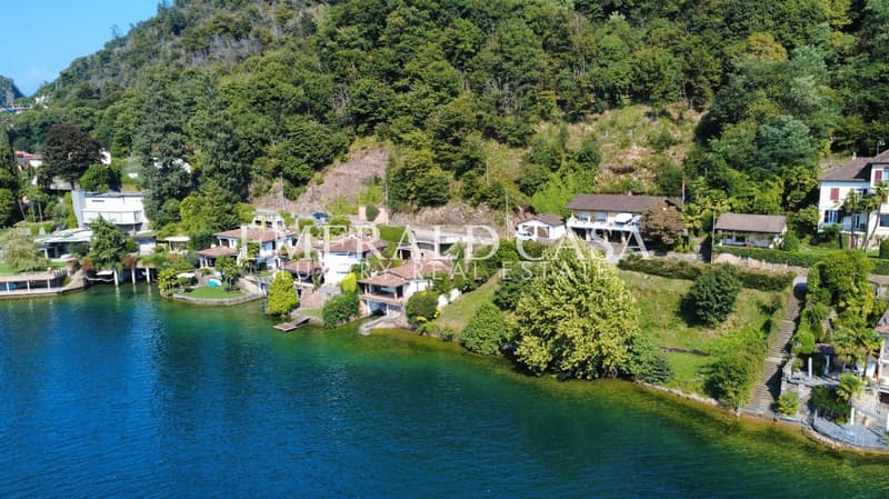 group of houses along the lake with beautiful views, each with its own dock, lush greenery surrounding the houses, terraced hillsides
