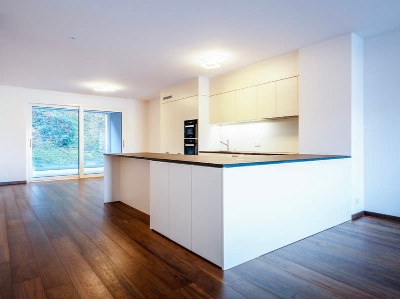 Elegante appartamento 3.5 locali con vista a Paradiso (5)