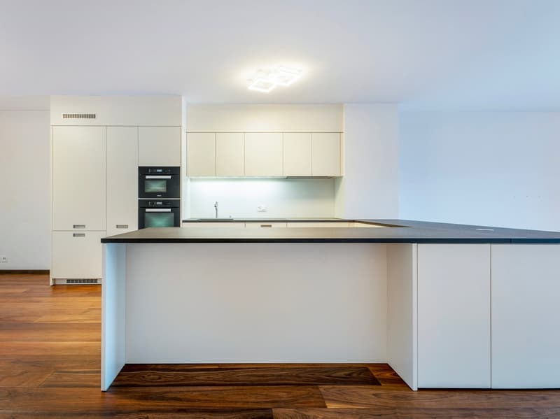 Elegante appartamento 3.5 locali con vista a Paradiso (4)
