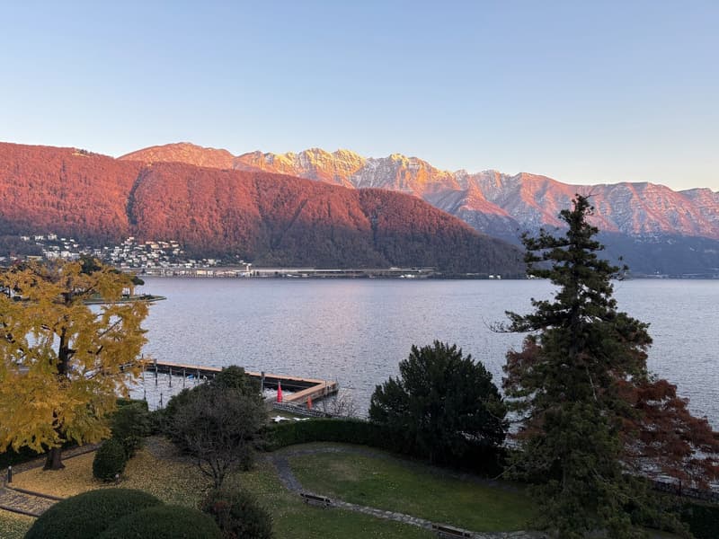 Mountain landscape with trees, body of water, path, benches, red and yellow leaves, dock