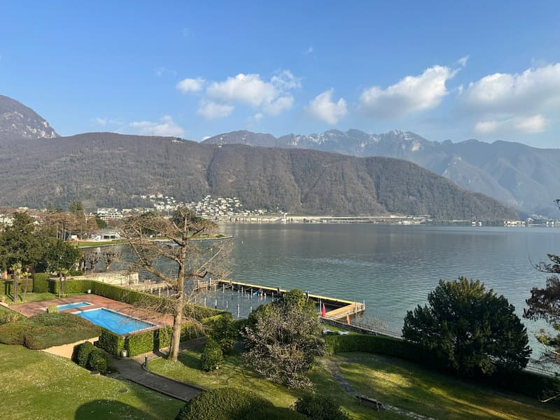 Garden with swimming pool, well maintained greenery, wooden dock, distant town, mountains