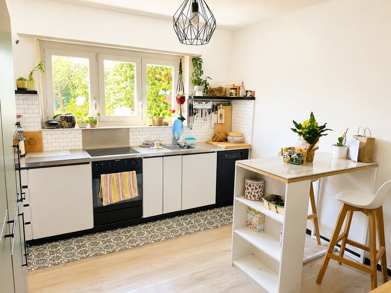 Maison multifamiliale avec grand jardin à Comano (2)