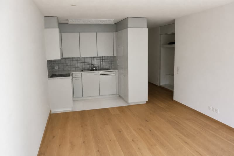 Bright apartment in a quiet location (3)