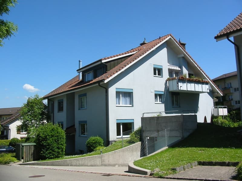 Bright apartment in a quiet location (2)