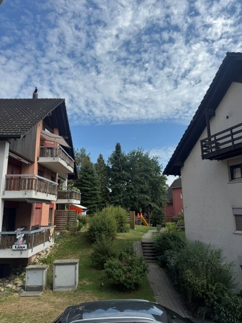 Umgebung Dorfgässli 14, 6331 Hünenberg.jpg