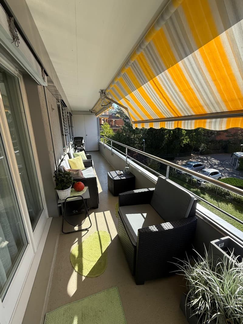 WhatsApp Image 2026-10-08 at 14.26.51 (3).jpeg