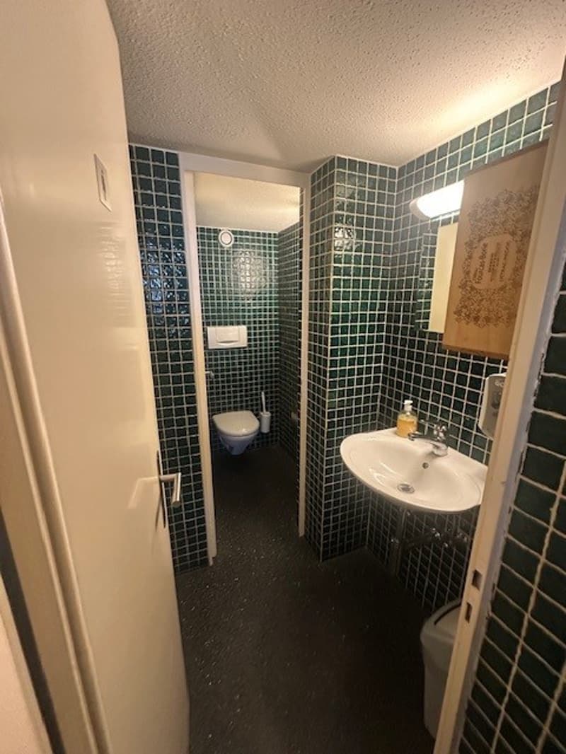 small bathroom with toilet, sink, and mirror