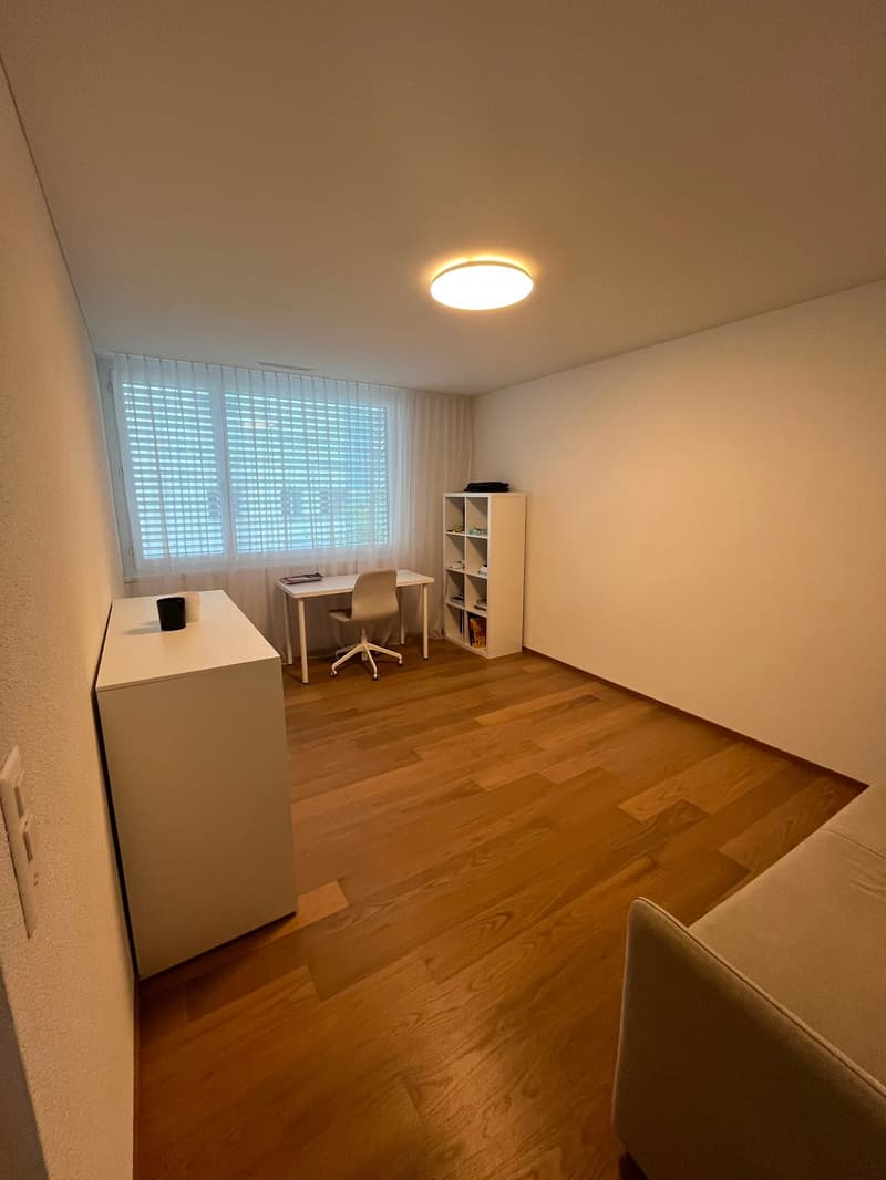 Vivere a Grienbach - casa unifamiliare di 5,5 locali indipendente in una zona residenziale tranquilla! (10)