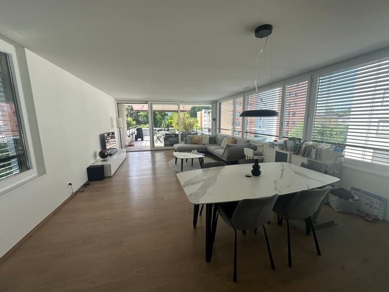 Vivere a Grienbach - casa unifamiliare di 5,5 locali indipendente in una zona residenziale tranquilla! (3)