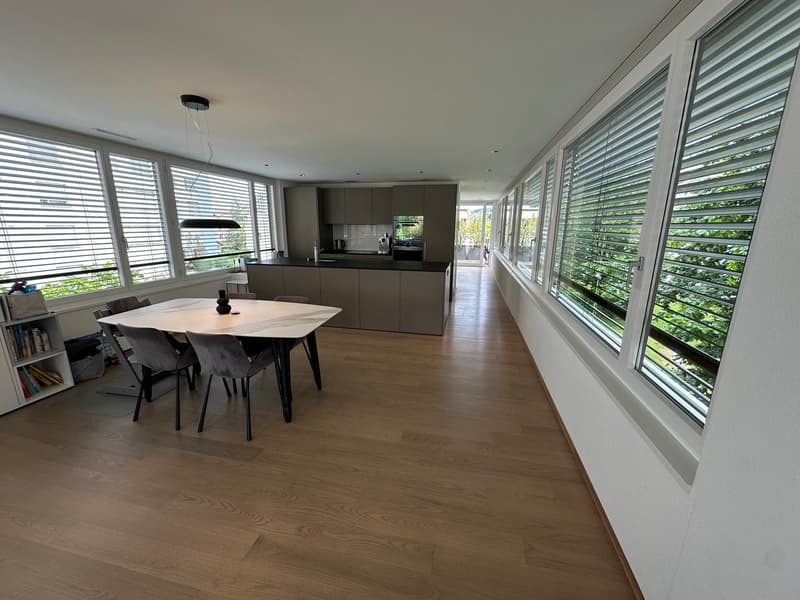 Vivere a Grienbach - casa unifamiliare di 5,5 locali indipendente in una zona residenziale tranquilla! (5)