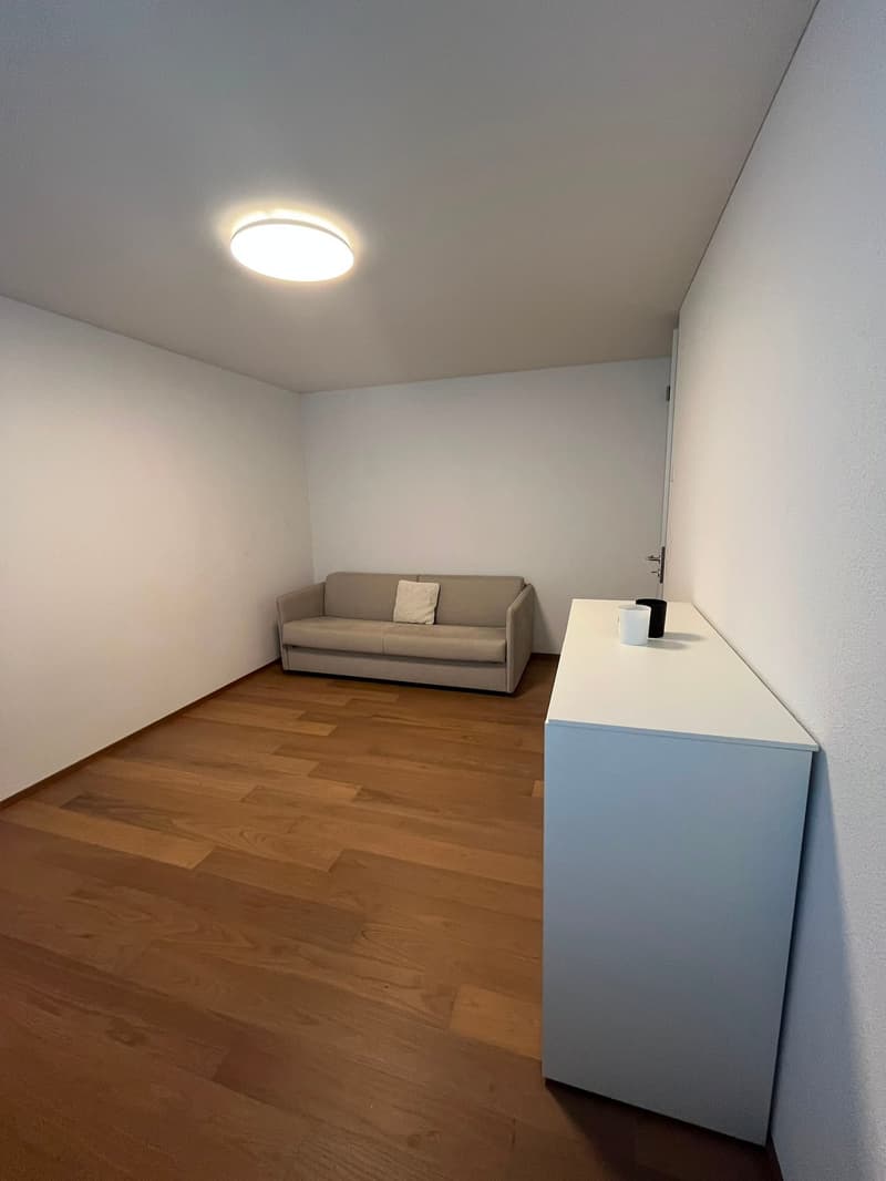 Vivere a Grienbach - casa unifamiliare di 5,5 locali indipendente in una zona residenziale tranquilla! (9)