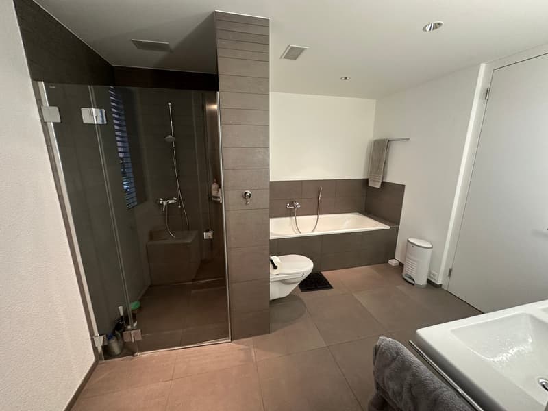 Vivere a Grienbach - casa unifamiliare di 5,5 locali indipendente in una zona residenziale tranquilla! (12)