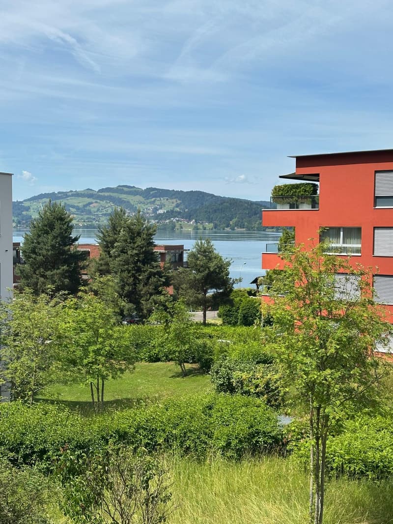 Appartement moderne 4.5 pièces avec grande terrasse et vue panoramique à Oberwil près de Zug (1)