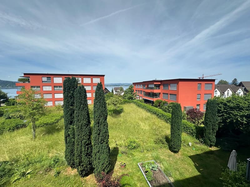 Appartement moderne 4.5 pièces avec grande terrasse et vue panoramique à Oberwil près de Zug (2)