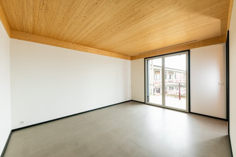 5.5-Zimmer-Dachgeschosswohnung mit aussergewöhnlicher Architektur (9)