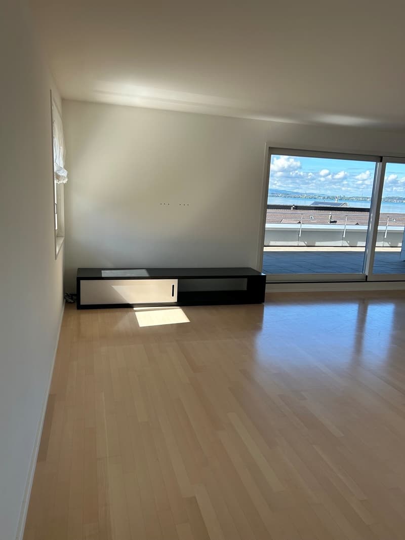 Wohnen auf höchstem Niveau – exklusive 6-Zimmer-Attikawohnung in Oberwil bei Zug (8)