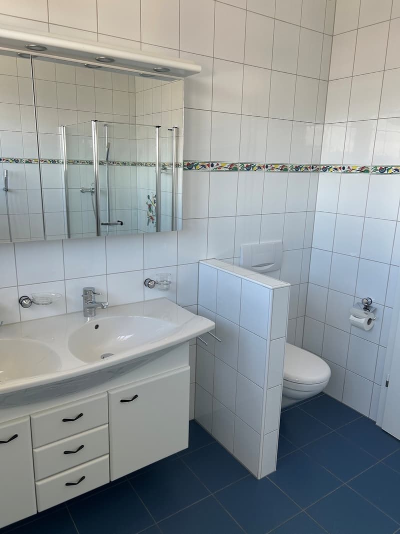 Wohnen auf höchstem Niveau – exklusive 6-Zimmer-Attikawohnung in Oberwil bei Zug (21)