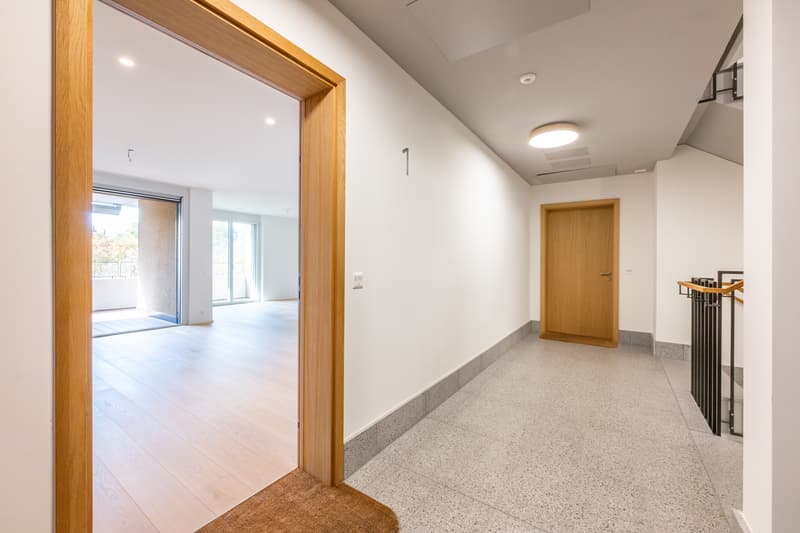 Appartamento 2.5 locali (2)