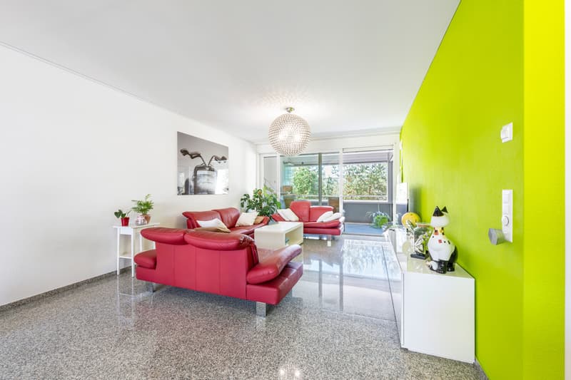 Appartement 4,5 pièces (6)