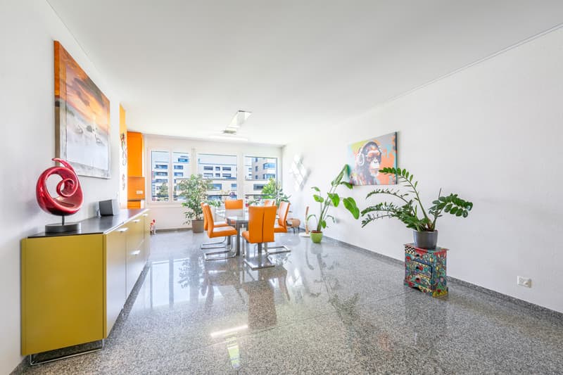 Appartement 4,5 pièces (1)
