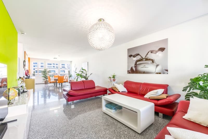 Appartement 4,5 pièces (4)