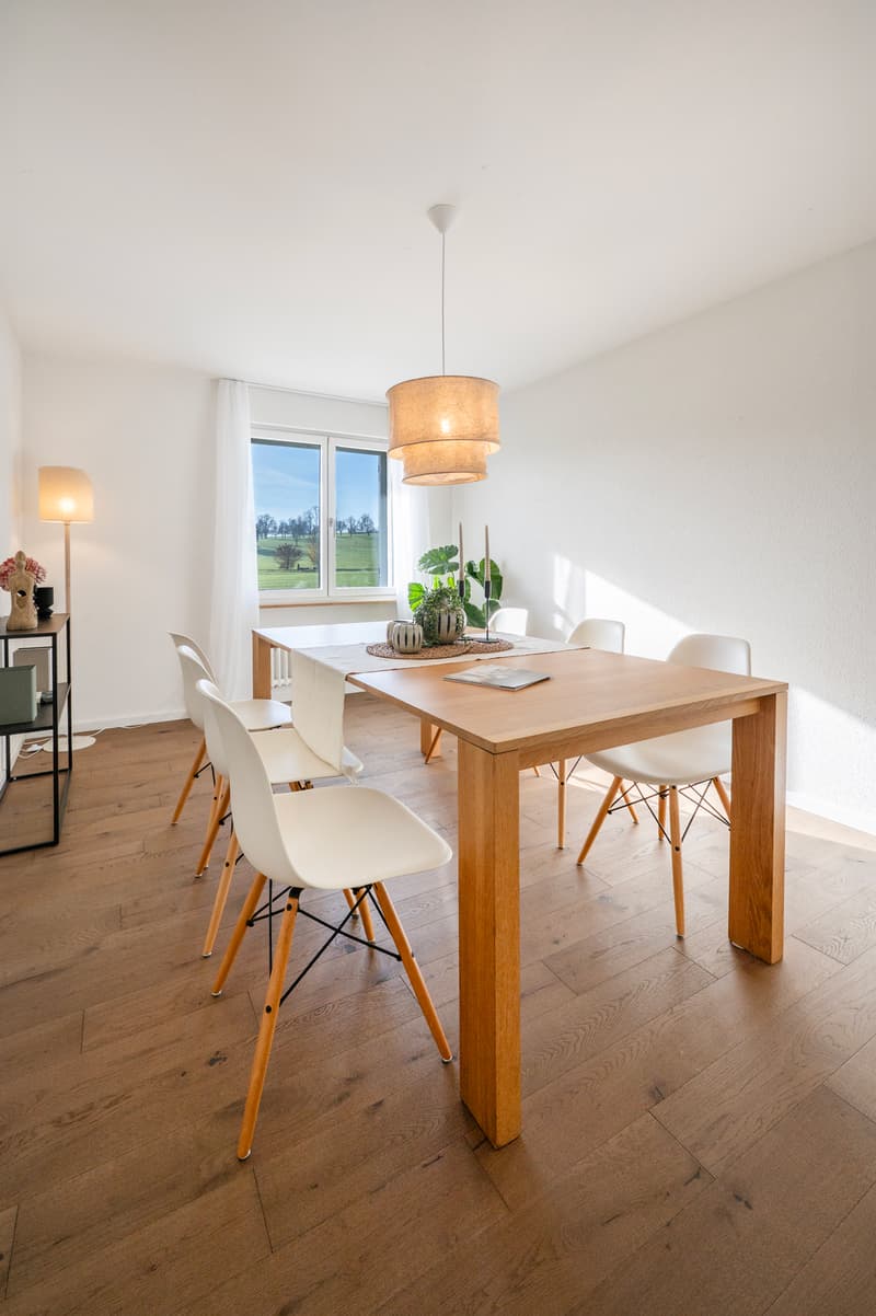 Einfamilienhaus 9 Zimmer (4)
