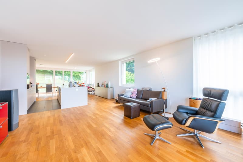 Appartement 4,5 pièces (1)