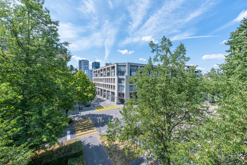 Wohnung 3.5 Zimmer (8)