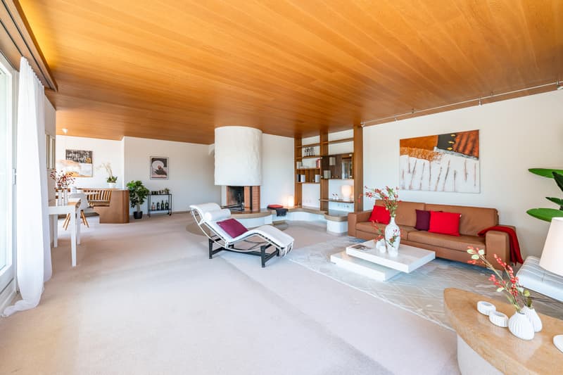 Attikawohnung 6.5 Zimmer (4)