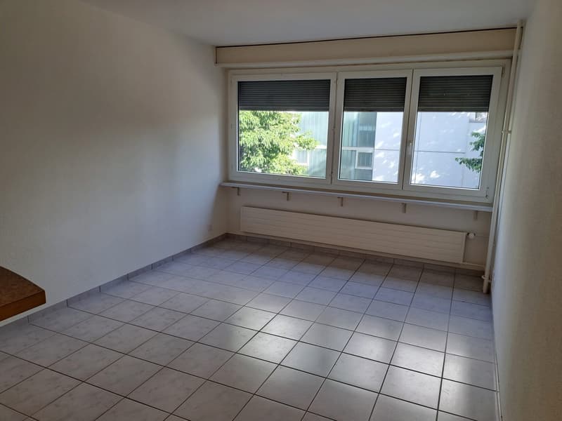 tiled floor, large window, central heating radiator, power outlet