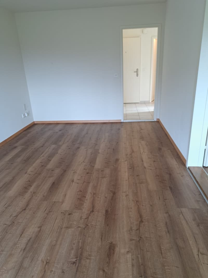 Appartement 3 pièces lumineux avec balcon et vue panoramique à Pieterlen (13)