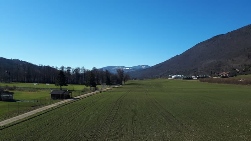 Appartement 3 pièces lumineux avec balcon et vue panoramique à Pieterlen (2)
