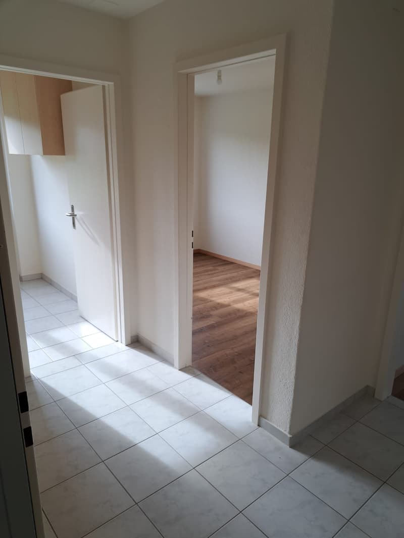 Appartement 3 pièces lumineux avec balcon et vue panoramique à Pieterlen (8)